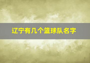 辽宁有几个篮球队名字