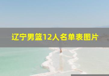 辽宁男篮12人名单表图片