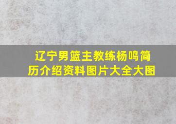 辽宁男篮主教练杨鸣简历介绍资料图片大全大图