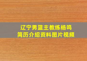 辽宁男篮主教练杨鸣简历介绍资料图片视频