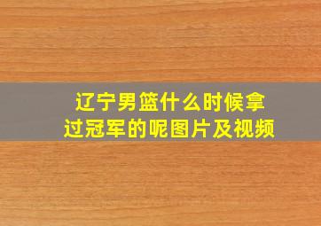 辽宁男篮什么时候拿过冠军的呢图片及视频