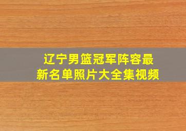 辽宁男篮冠军阵容最新名单照片大全集视频