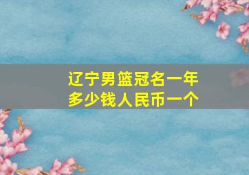 辽宁男篮冠名一年多少钱人民币一个