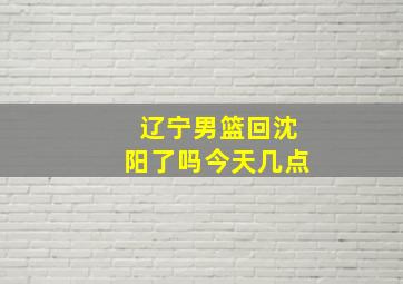 辽宁男篮回沈阳了吗今天几点