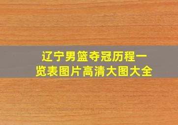 辽宁男篮夺冠历程一览表图片高清大图大全