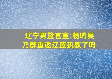 辽宁男篮官宣:杨鸣吴乃群重返辽篮执教了吗