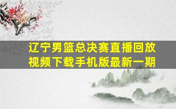 辽宁男篮总决赛直播回放视频下载手机版最新一期