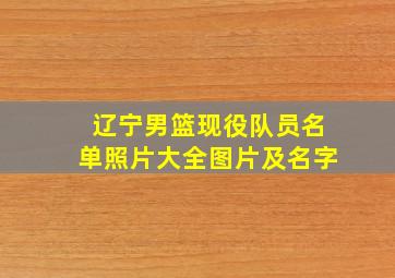 辽宁男篮现役队员名单照片大全图片及名字