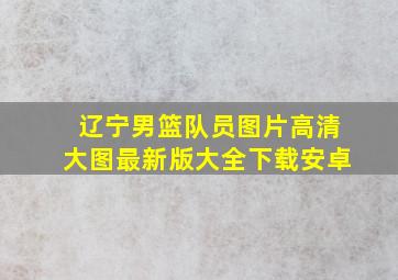 辽宁男篮队员图片高清大图最新版大全下载安卓