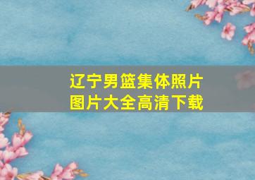 辽宁男篮集体照片图片大全高清下载