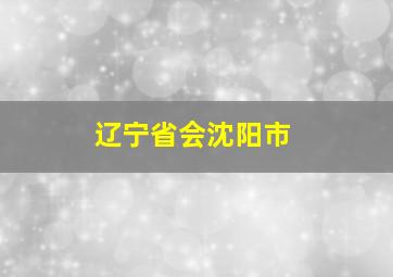 辽宁省会沈阳市