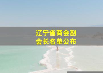 辽宁省商会副会长名单公布