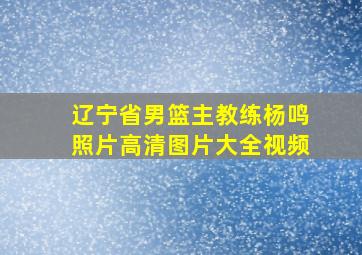 辽宁省男篮主教练杨鸣照片高清图片大全视频