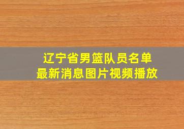 辽宁省男篮队员名单最新消息图片视频播放