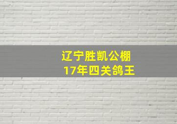 辽宁胜凯公棚17年四关鸽王