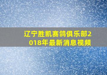 辽宁胜凯赛鸽俱乐部2018年最新消息视频