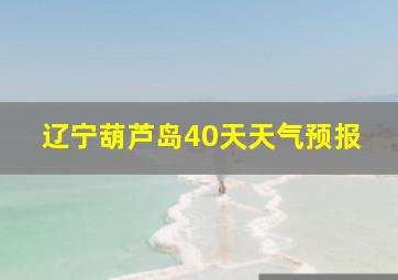 辽宁葫芦岛40天天气预报