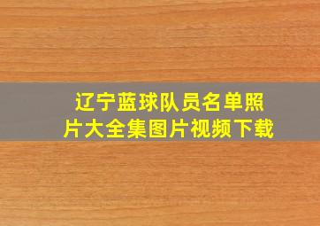 辽宁蓝球队员名单照片大全集图片视频下载