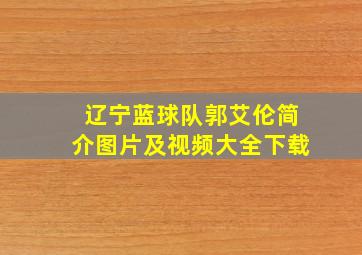 辽宁蓝球队郭艾伦简介图片及视频大全下载