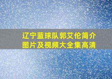 辽宁蓝球队郭艾伦简介图片及视频大全集高清