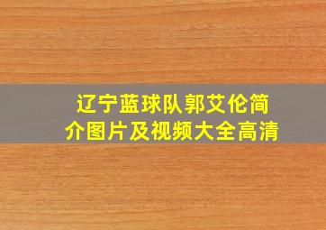 辽宁蓝球队郭艾伦简介图片及视频大全高清