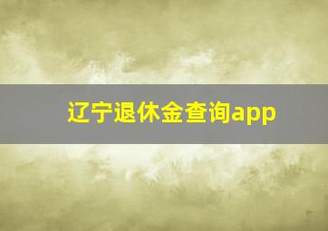 辽宁退休金查询app