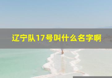 辽宁队17号叫什么名字啊