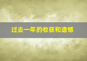 过去一年的收获和遗憾