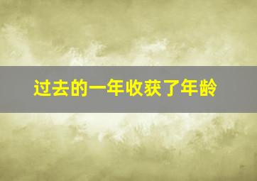 过去的一年收获了年龄