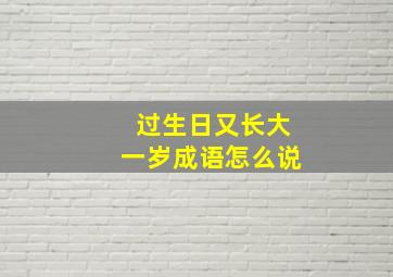 过生日又长大一岁成语怎么说