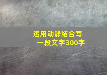 运用动静结合写一段文字300字