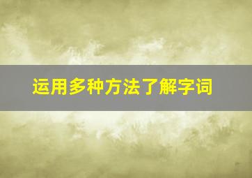 运用多种方法了解字词