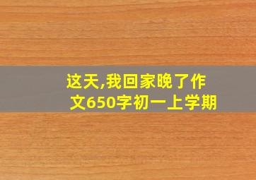 这天,我回家晚了作文650字初一上学期