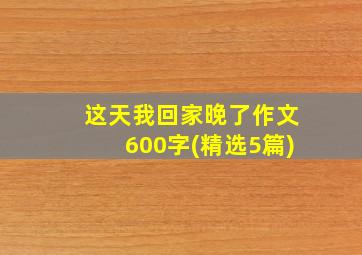 这天我回家晚了作文600字(精选5篇)