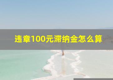 违章100元滞纳金怎么算