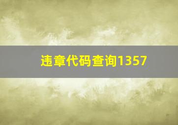 违章代码查询1357