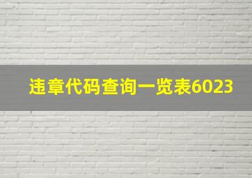 违章代码查询一览表6023