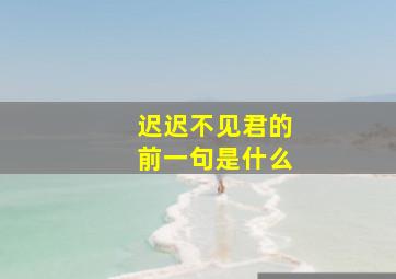 迟迟不见君的前一句是什么