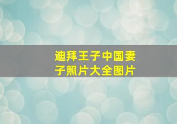 迪拜王子中国妻子照片大全图片