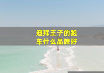 迪拜王子的跑车什么品牌好