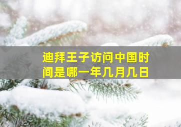 迪拜王子访问中国时间是哪一年几月几日