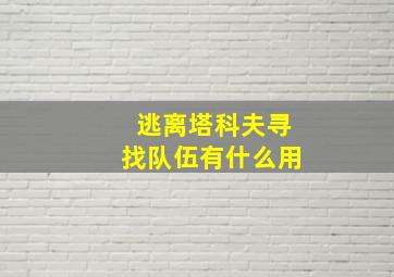 逃离塔科夫寻找队伍有什么用