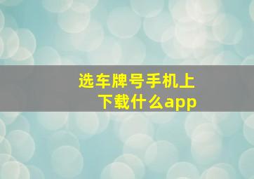 选车牌号手机上下载什么app