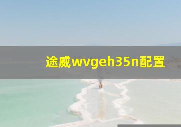 途威wvgeh35n配置