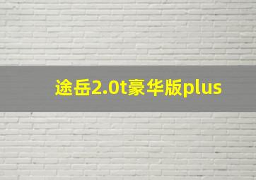 途岳2.0t豪华版plus