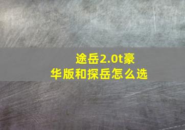 途岳2.0t豪华版和探岳怎么选