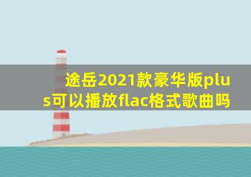 途岳2021款豪华版plus可以播放flac格式歌曲吗