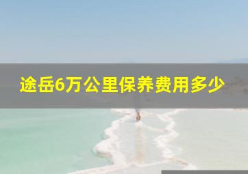 途岳6万公里保养费用多少