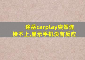 途岳carplay突然连接不上,显示手机没有反应