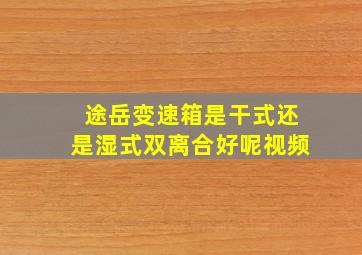 途岳变速箱是干式还是湿式双离合好呢视频